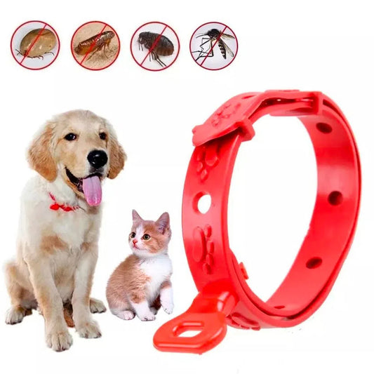 Collar Antipulgas y Garrapatas para Perros y Gatos - SafePup® - Happy Chile